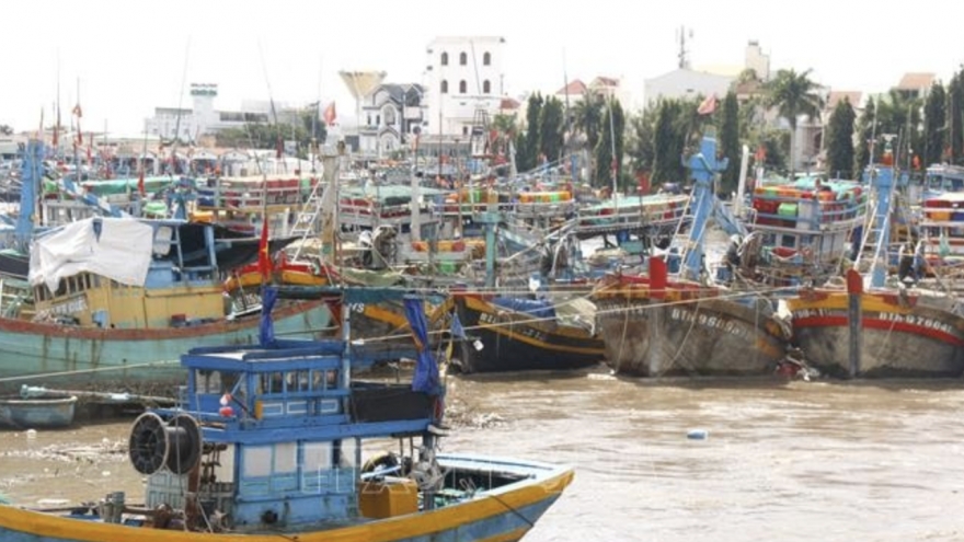 Mekong Delta provinces step up crackdown on IUU fishing